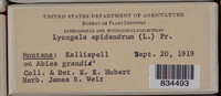 Image Associated With the Occurence